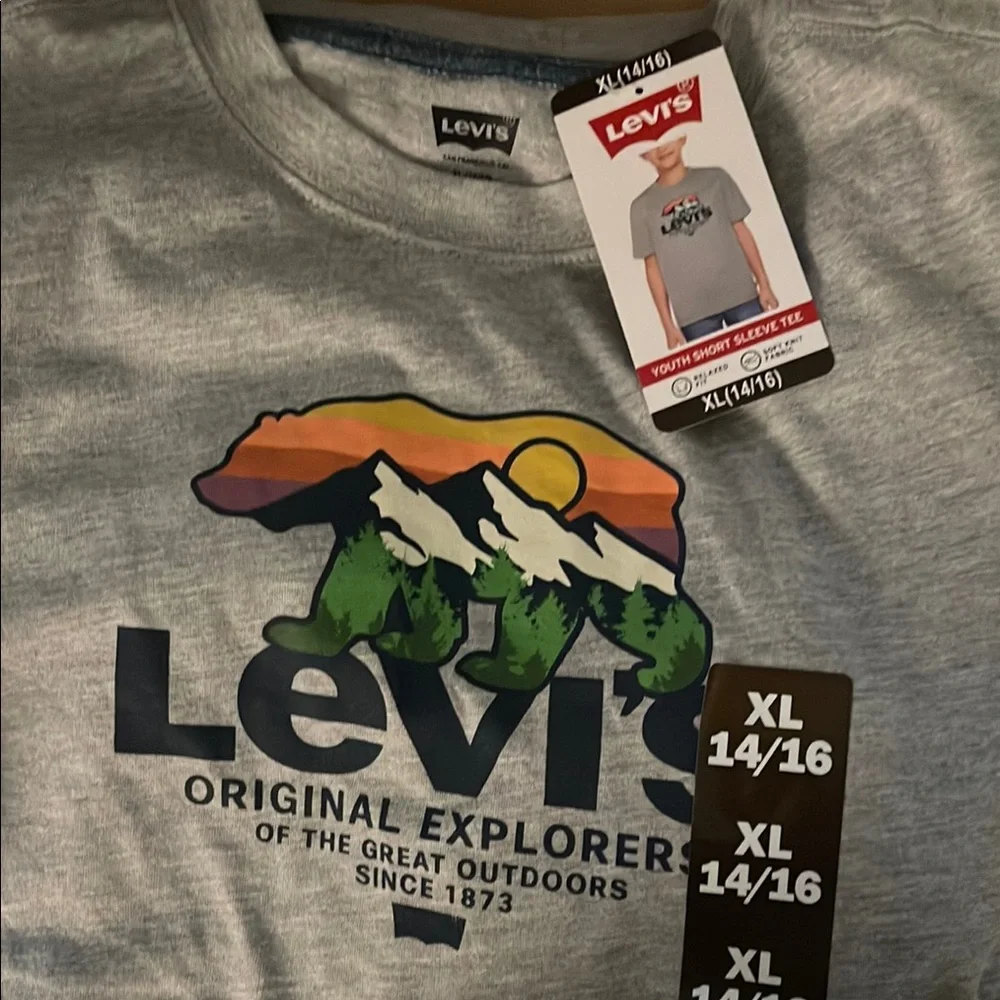 Levi's Gray Tee with Colorful Mountain Graphic - Picture 4 of 4